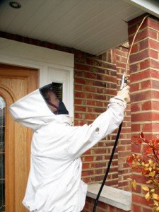 Pest Control services