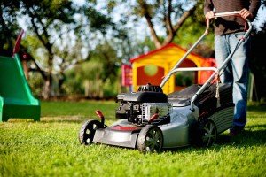 lawn neat